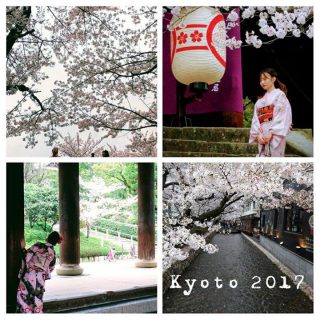 Thank you Kyoto, the blossoms were magic
